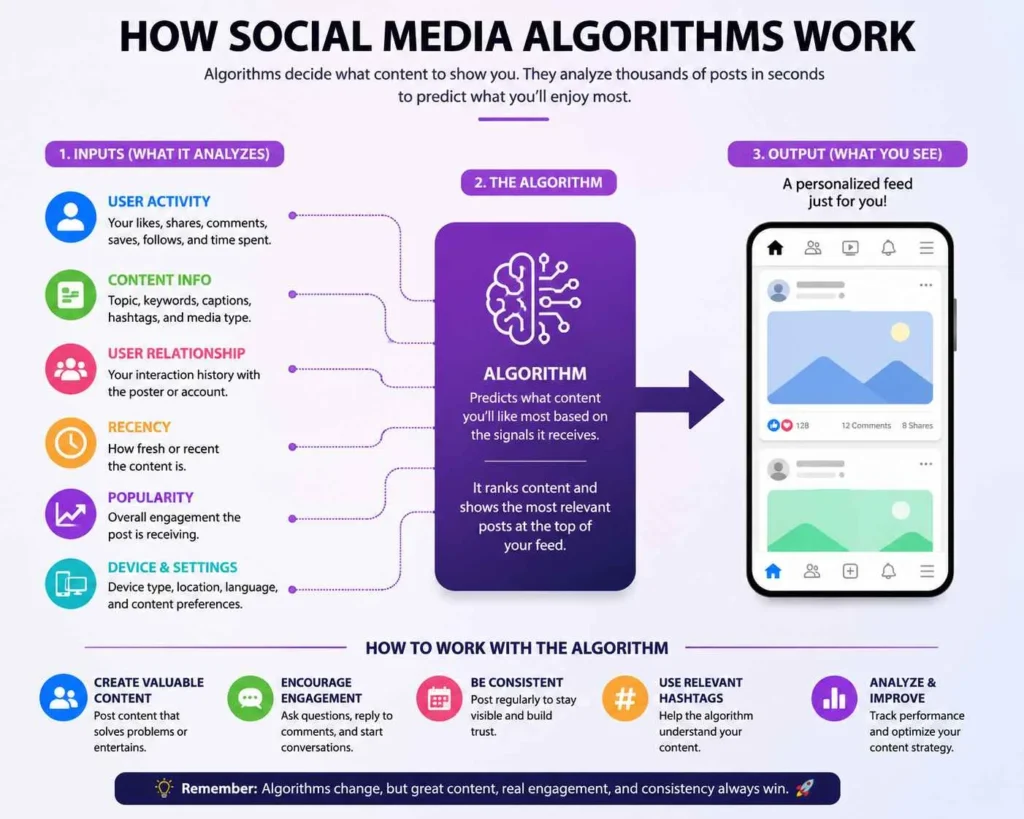 social media algorithm changes